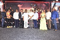 Karthikeya 2 Movie Pre Release Event